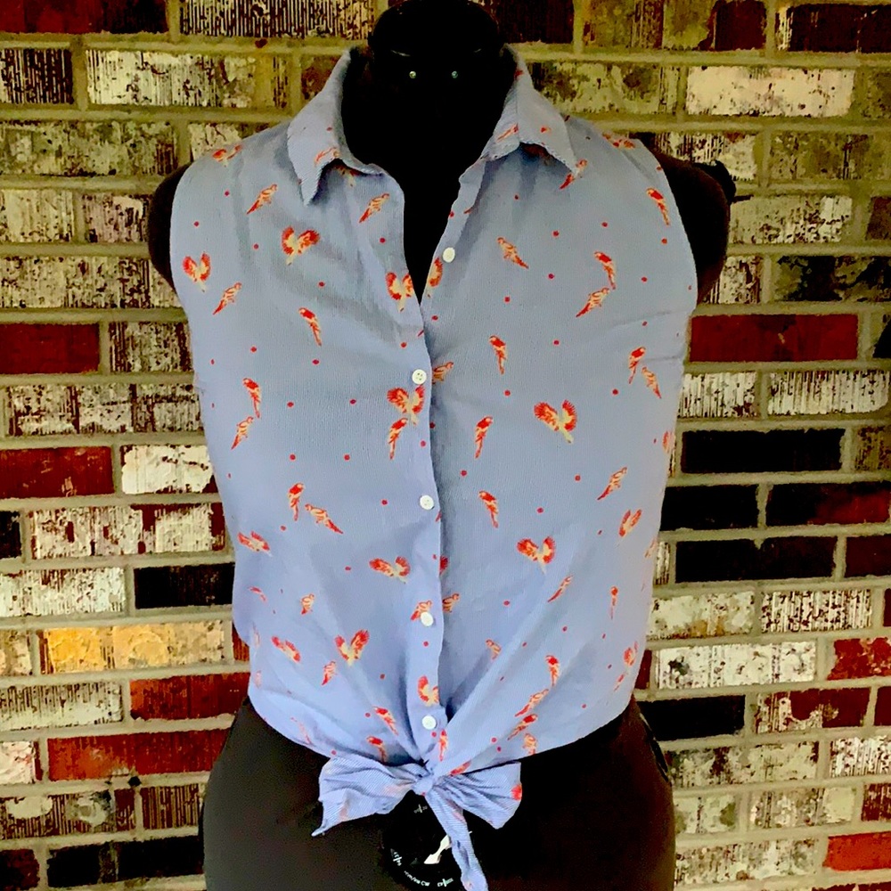 *BOGO Free* Collective Concepts Pin stripe, bird pattern